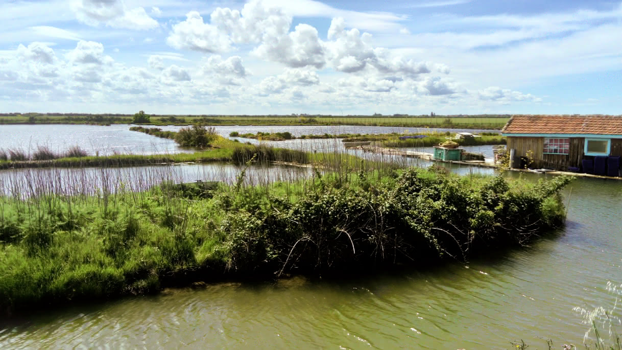 Marais du Baluard Talais © medoc-atlantique-tourisme (1)