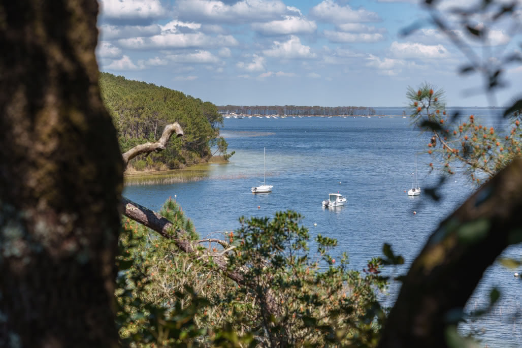 Sentier du Lac - Carcans-Maubuisson 