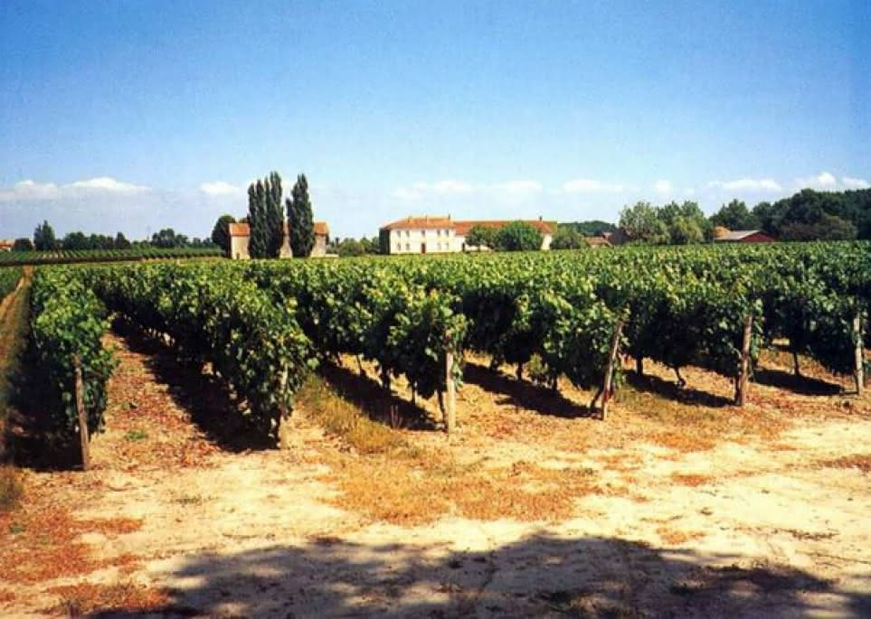 Valeyrac - Château le Temple