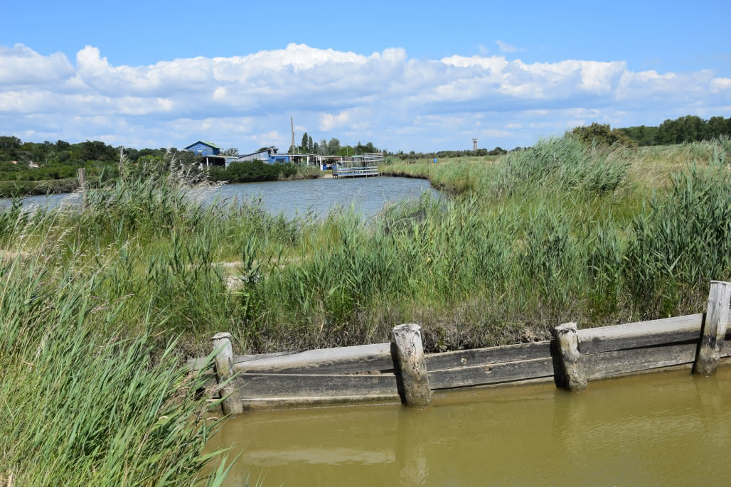 Marais du Conseiller © medoc-atlantique-tourisme_0755