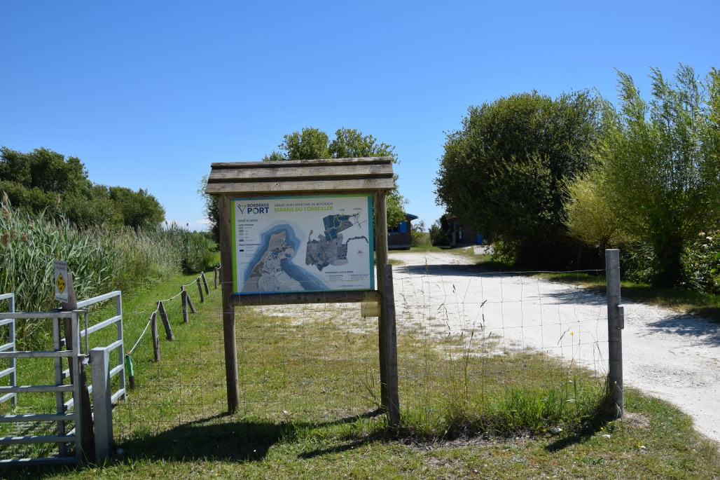 Marais du Conseiller © medoc-atlantique-tourisme_0683